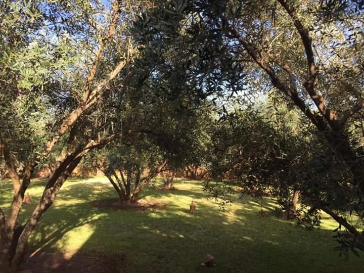 Riad Sidi Hicham Ouled Bouzid Екстер'єр фото